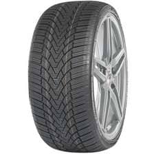 Шины Arivo WINMASTER PROX ARW 3 205/55 R16 91H